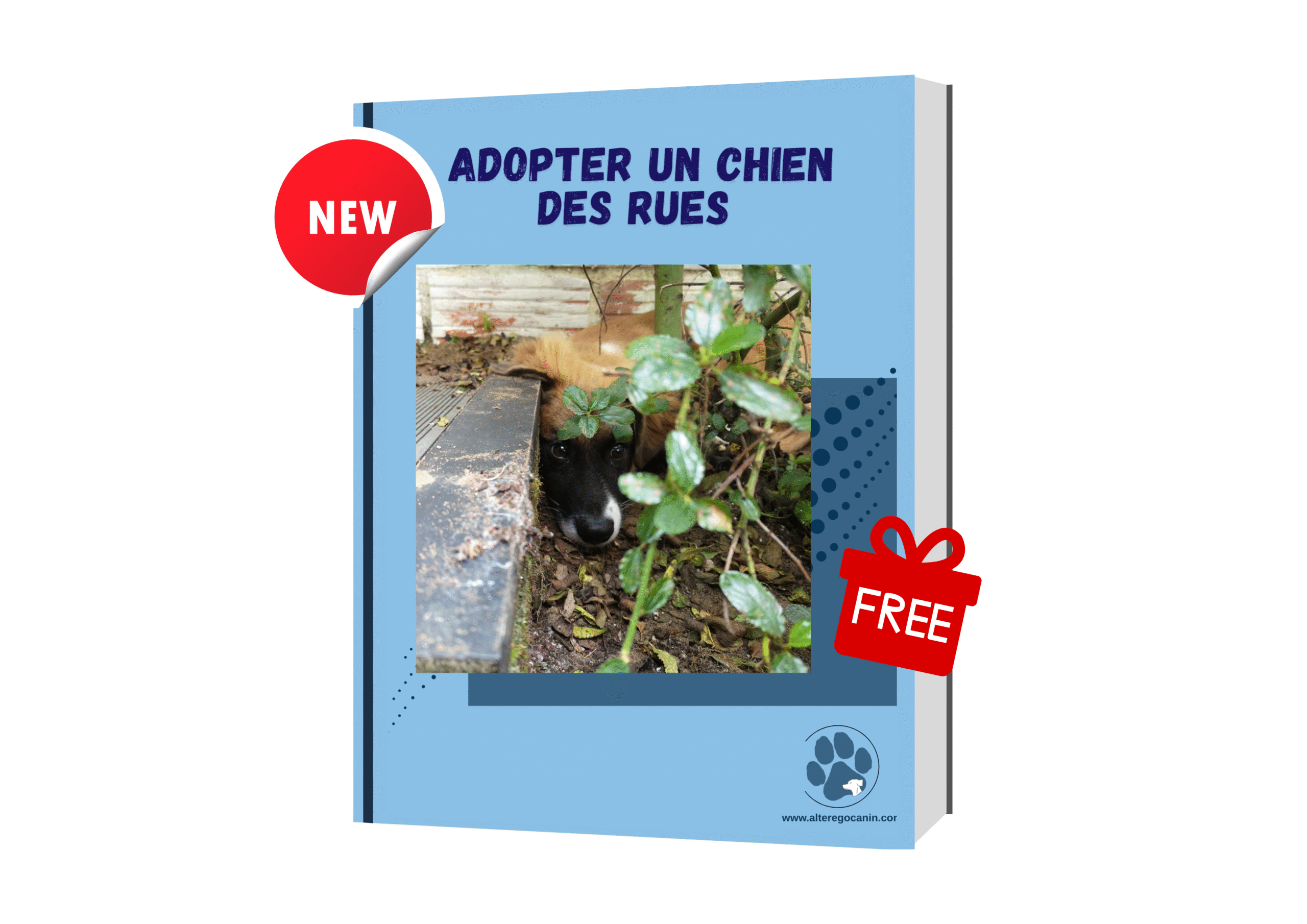 Comprendre son chien