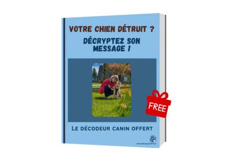 Comportement canin