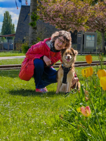 chien craintif