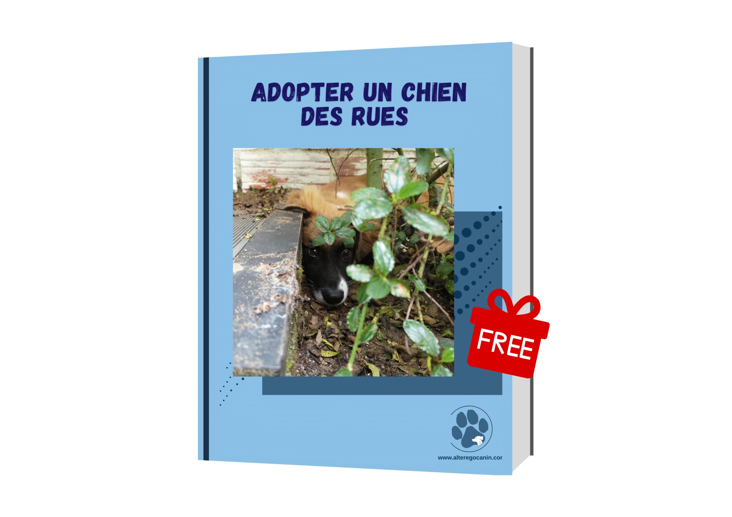 Comprendre son chien